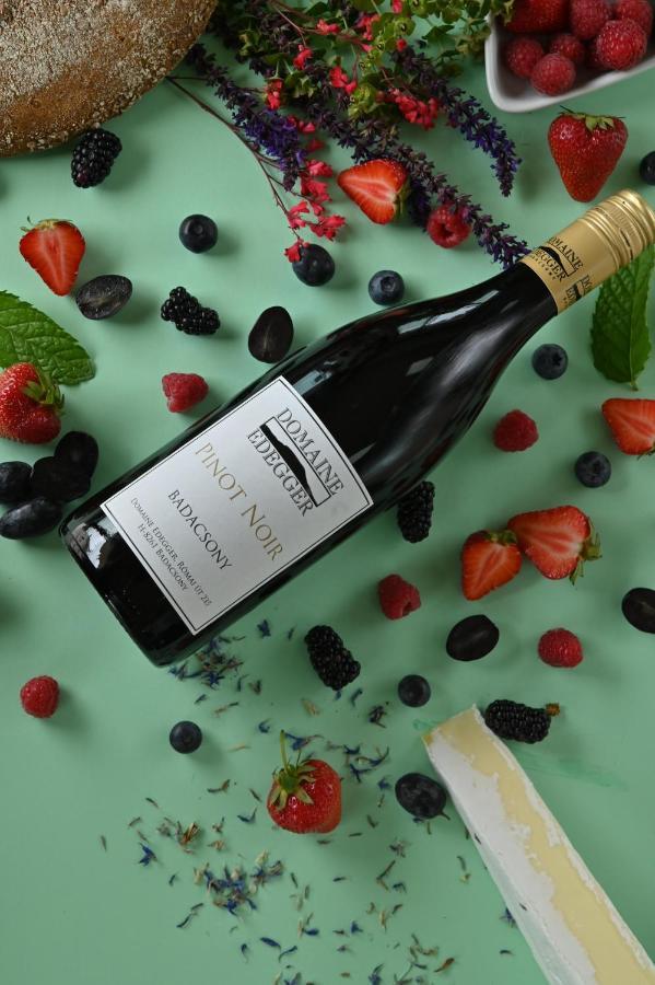 Aparthotel Domaine Edegger - Organic Winery Badacsony Badacsonytomaj Zewnętrze zdjęcie