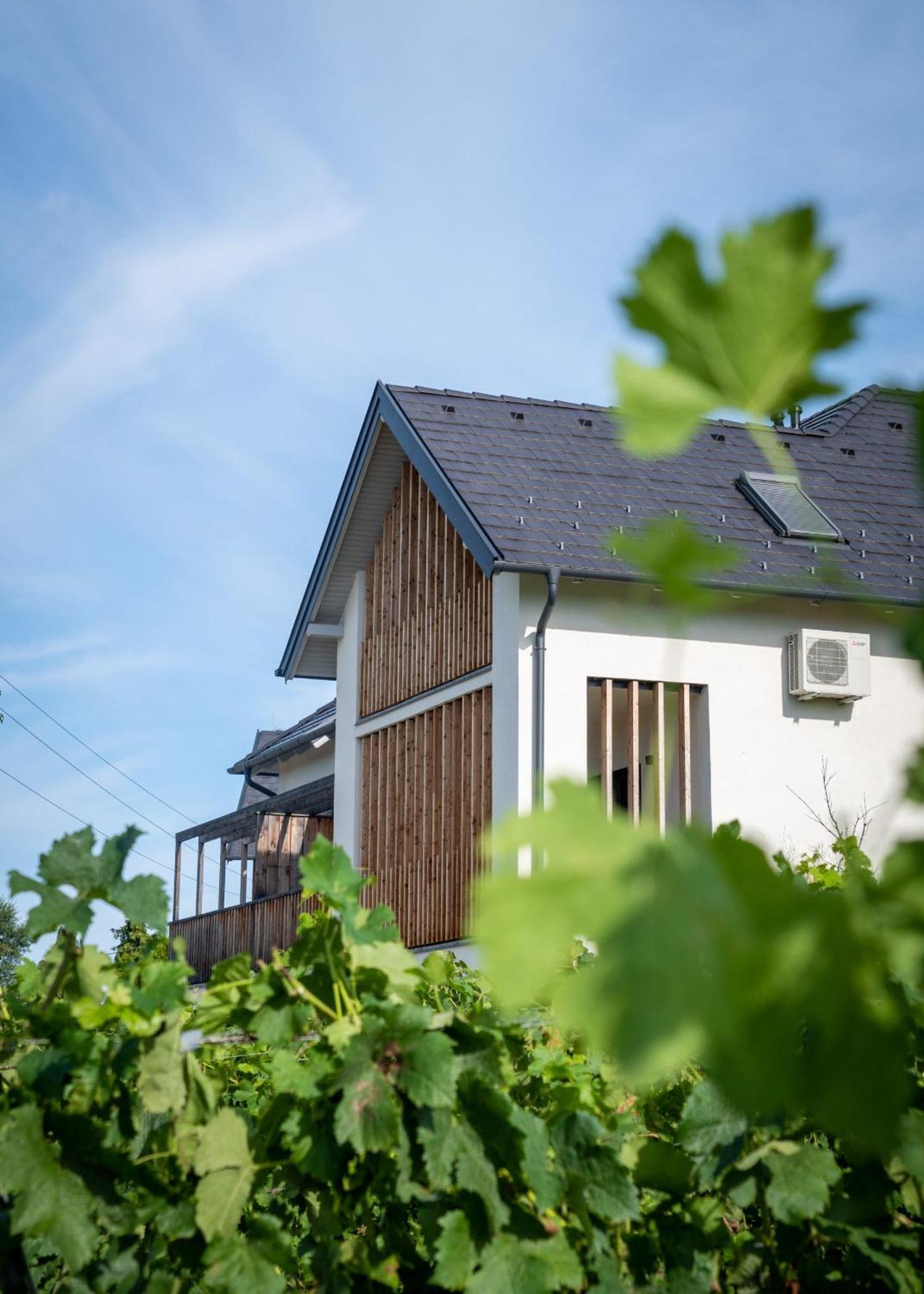 Aparthotel Domaine Edegger - Organic Winery Badacsony Badacsonytomaj Zewnętrze zdjęcie