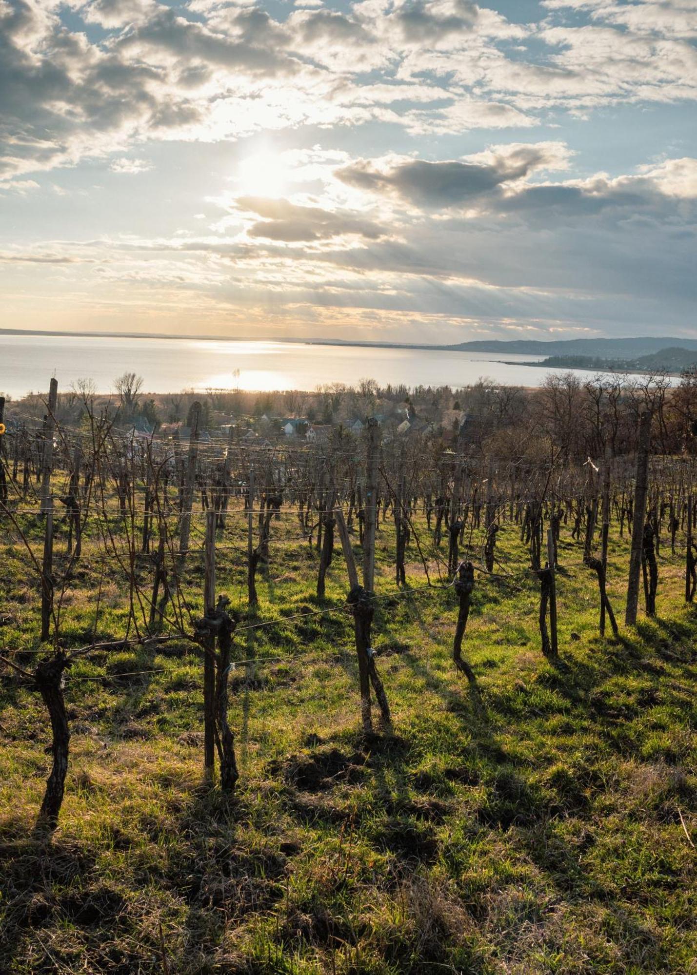 Aparthotel Domaine Edegger - Organic Winery Badacsony Badacsonytomaj Zewnętrze zdjęcie
